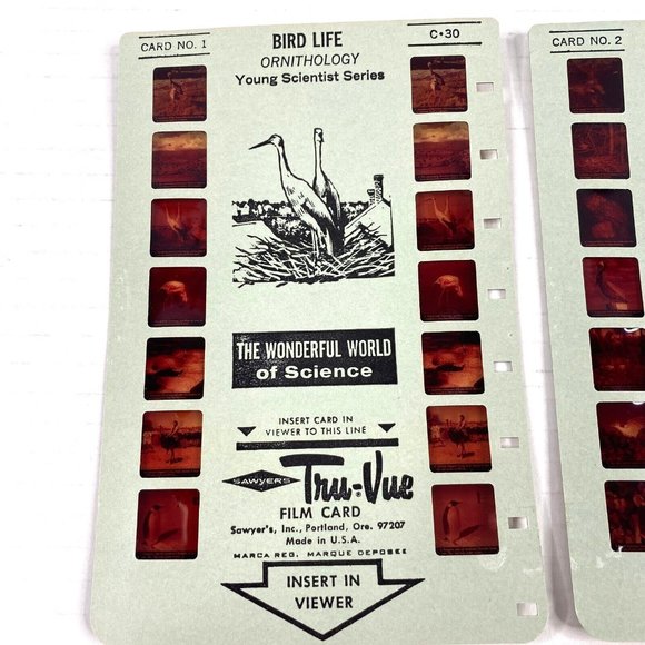 Tru-Vue Film Cards Set of 3 Stereoview Bird Life Ornithology Young Scientist VTG - Picture 4 of 8
